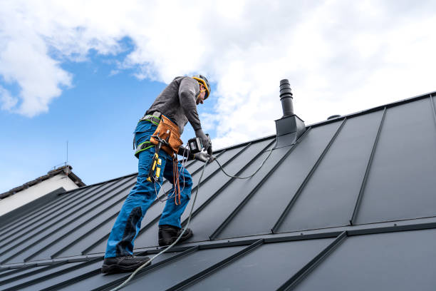 Best 4 Ply Roofing  in Wolf Point, MT